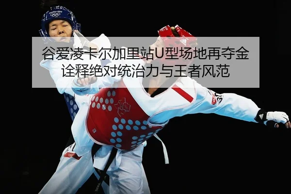 gu-ai-ling-ka-er-jia-li-zhan-xing-chang-di-zai-duo-jin-quan-shi-jue-dui-tong-zhi-li-yu-wang-zhe-feng-fan-2-118.jpg